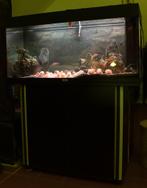 Jewel aquarium 180 liter + kast, Gebruikt, Ophalen, Gevuld zoetwateraquarium