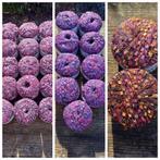 Laddergaren 28 bollen vaste prijs €25.=, Ophalen of Verzenden, Nieuw, Breien of Haken, Wol of Garen