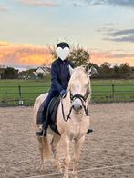 Verzorgpony gezocht, Dieren en Toebehoren, Stalling en Weidegang, 1 paard of pony