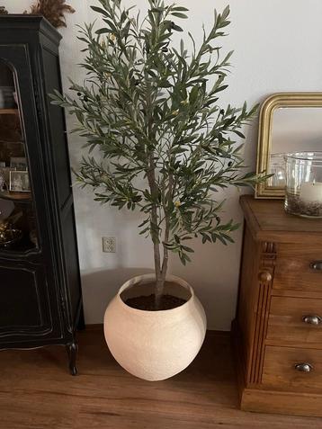 Kunst Olijfboom met Pot - 180cm beschikbaar voor biedingen