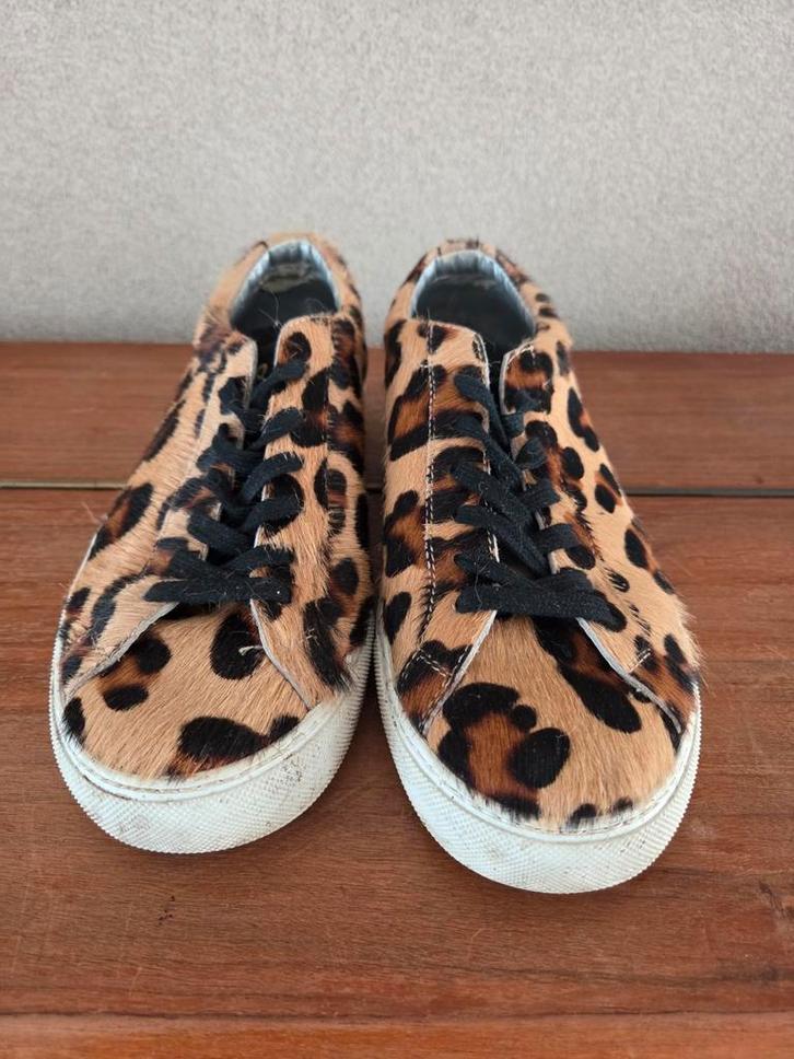 P448 Sneakers - Luipaardprint - Maat 40, Kleding | Dames, Schoenen, Gedragen, Sneakers of Gympen, Bruin, Ophalen of Verzenden