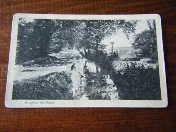 W35 - Roden / Hooghout - Sloot - Bos - 1928 - Mooi/Oud beschikbaar voor biedingen