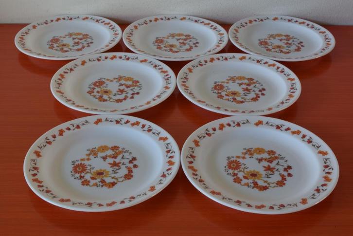 Set van 7 retro vintage Arcopal borden - Zonnebloem, Huis en Inrichting, Keuken | Servies, Zo goed als nieuw, Bord(en), Overige stijlen