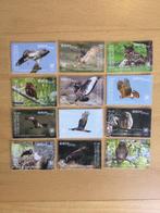Rarotonga 2018 vogels, Postzegels en Munten, Postzegels | Thematische zegels, Ophalen of Verzenden, Postfris, Dier of Natuur