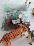 Dierentuin, Dieren en Toebehoren, Vissen | Aquariumvissen, Vis