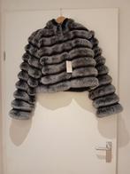 Helemaal kort jasje of vest donker grijs., Ophalen of Verzenden, Nieuw, Maat 46/48 (XL) of groter, Grijs