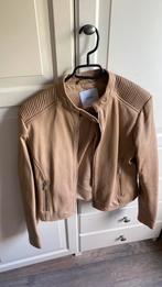 Mango jas, Ophalen of Verzenden, Zo goed als nieuw, Maat 36 (S), Zwart