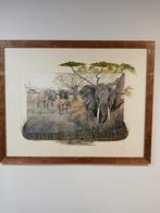 Schilderij van Hennie van Dijk - Olifanten, Antiek en Kunst, Ophalen