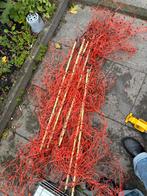 Schapennet met stokken - Hondenren, Tuin en Terras, Ophalen, Gebruikt, Overige materialen, Overige typen