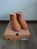 Ugg Essential Mini Laarzen Maat 38, UGG, Bruin, Lage of Enkellaarzen, Ophalen of Verzenden