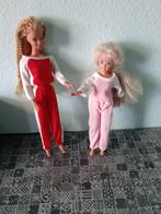 Huispak voor Barbie en Skipper/jaren 80, Ophalen of Verzenden, Gebruikt, Barbie