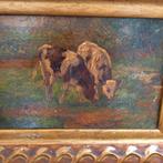 Schilderij stiertjes, Antiek en Kunst, Ophalen of Verzenden