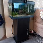 Aquarium compleet inclusief kast en filter  30x35x60 cm, Dieren en Toebehoren, Ophalen