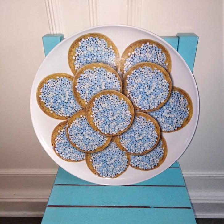 Beschuit blauw muisjes schaal - kunststof zie omschrijving, Kinderen en Baby's, Kraamcadeaus en Geboorteborden, Gebruikt, Geboortebord