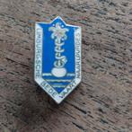 Vintage Limburgse Bedevaart Naar Lourdes Speldje, Ophalen of Verzenden, Gebruikt, Overige onderwerpen, Speldje of Pin