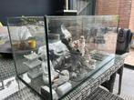 60x30x30 aqarium met toebehoren, Ophalen, Gebruikt, Leeg aquarium