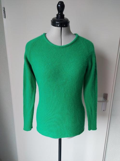 100% kasjmier appel groene trui mt. XS, Kleding | Dames, Truien en Vesten, Zo goed als nieuw, Maat 34 (XS) of kleiner, Groen, Ophalen of Verzenden