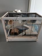 Hamster kooi, Kooi, Minder dan 75 cm, Minder dan 60 cm, Ophalen of Verzenden