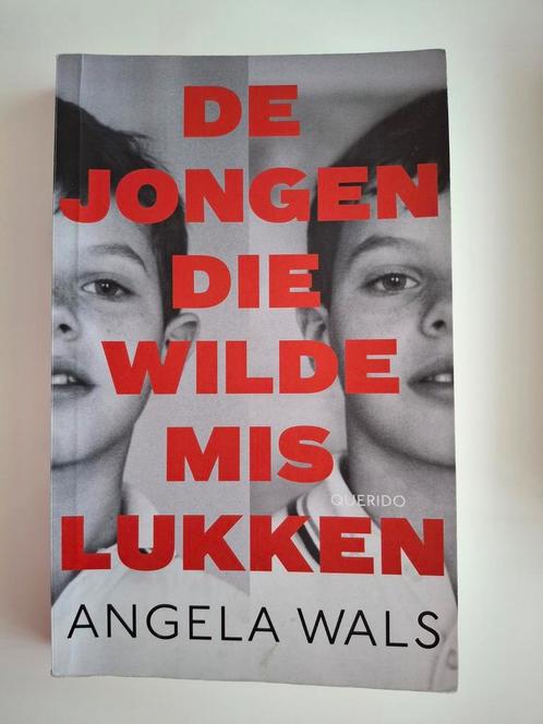 Angela Wals - De jongen die wilde mislukken, Boeken, Overige Boeken, Zo goed als nieuw, Ophalen of Verzenden