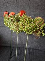 3 kippen kip dieren op stok tuin decoratie, Ophalen