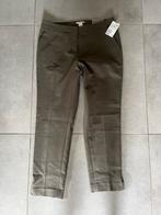 Nieuwe dames pantalon maat 38, Ophalen, Nieuw, Maat 38/40 (M)