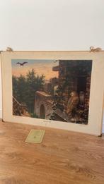 Schoolplaat Bij de ruïne incl boekje, Antiek en Kunst, Antiek | Schoolplaten, Ophalen, Natuur en Biologie