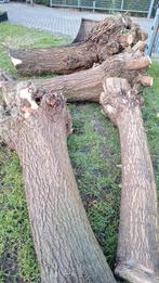 Wilgen stamhout, Tuin en Terras, Haardhout, 3 tot 6 m³, Ophalen, Overige houtsoorten, Takken