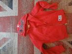 Rood hoody. Fits medium, Ophalen, Gedragen, Maat 48/50 (M), Rood