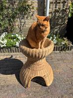 Rieten kattenmand 56 cm, Dieren en Toebehoren, Ophalen, Zo goed als nieuw, Riet