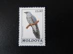 Postzegel Vogel: Koekoek uit Moldavië, Ophalen of Verzenden, Postfris, Dier of Natuur