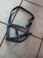 Veulen halster ( past ook op mini shetlander) epplejeck, Ophalen of Verzenden, Nieuw, Overige soorten