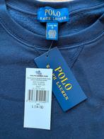 Ralph Lauren Trui Jongens - Maat L (14-16) - Nieuw, Kinderen en Baby's, Ophalen of Verzenden, Nieuw, Ralph Lauren, Jongen