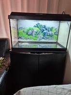 Juwel primo 60l, juwel lido 120 kast jbl 402 filter, Dieren en Toebehoren, Vissen | Aquaria en Toebehoren, Ophalen, Zo goed als nieuw