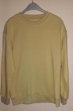 Dames Sweater, Kleding | Dames, Ophalen of Verzenden, Zo goed als nieuw, Maat 42/44 (L), Geel