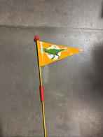 Dino Fietsvlag, Ophalen of Verzenden, Gebruikt, Jongen of Meisje