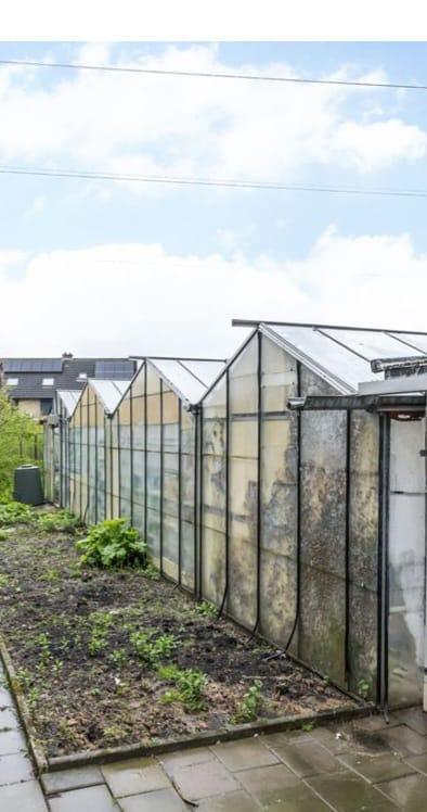 Te koop tuinkassen, Tuin en Terras, Kassen, Gebruikt, Kweekkas, Staal, Glas, Ophalen