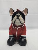 Franse bulldog boxer met rode sport jas., Verzamelen, Beelden en Beeldjes, Ophalen