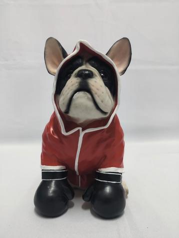 Franse bulldog boxer met rode sport jas. beschikbaar voor biedingen