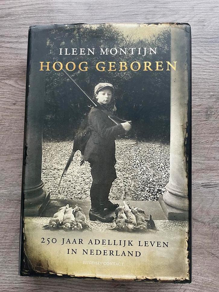 Ileen Montijn - Hoog geboren, Boeken, Overige Boeken, Zo goed als nieuw, Ophalen of Verzenden