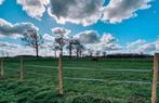 GEZOCHT - Paardenstalling voor senior pony, Dieren en Toebehoren, Weidegang, 1 paard of pony
