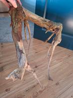 Hout voor aquarium, Ophalen, Plant(en), Steen of Hout