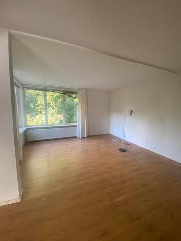 Prachtige laminaat vloer (23 vierkante meter) beschikbaar voor biedingen