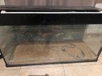 Groot Aquarium, Ophalen, Gebruikt, Leeg aquarium