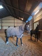 Pensionstalling gezocht voor lieve merrie omgeving Hoorn, Weidegang