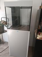 Diamond aquarium 147 hoog 50 diep en 55 breed., Ophalen, Gebruikt, Leeg aquarium