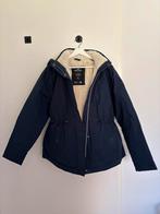 Hollister winterjas XL, Kleding | Dames, Ophalen of Verzenden, Zo goed als nieuw, Maat 46/48 (XL) of groter