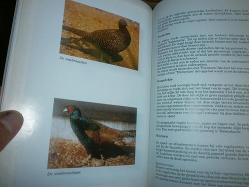 jacht fazanten aanschaf opfokken bejaging, Boeken, Hobby en Vrije tijd, Nieuw, Overige onderwerpen, Ophalen of Verzenden