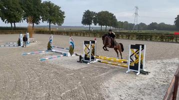 Stalhulp/bijrijder gezocht regio Maasmechelen beschikbaar voor biedingen