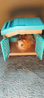 Cavia speelgoed met baby's, Ophalen of Verzenden, Zo goed als nieuw