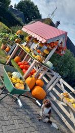 Prachtige pompoenen en sierkalebassen, Tuin en Terras, Tuinwanddecoratie, Ophalen, Nieuw